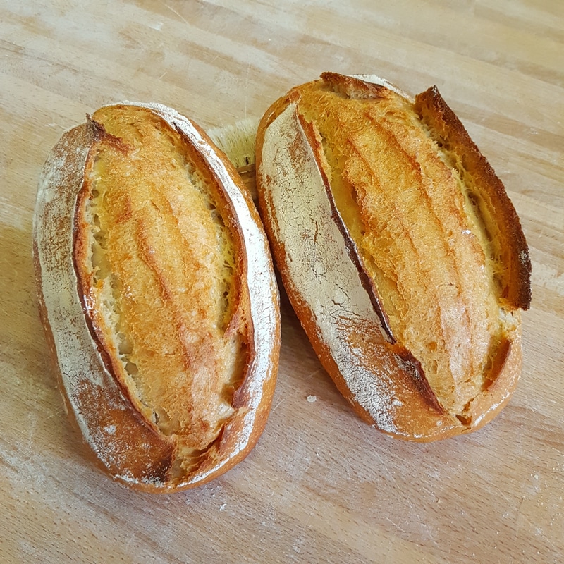Blés anciens