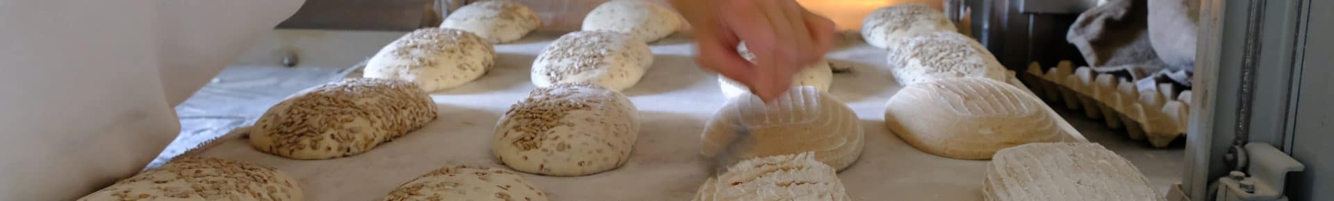 Congés 20 septembre au 4 octobre